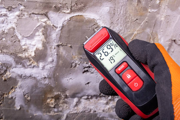Mold Testing and Removal in Warsaw, NC