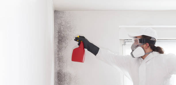 Best Toxic Mold Removal  in Warsaw, NC